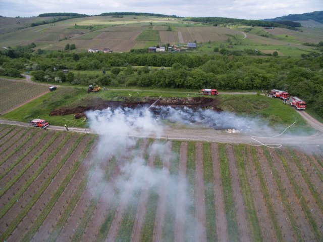 Flaechenbrand Wiltingen 14_05_16_whrc (23)